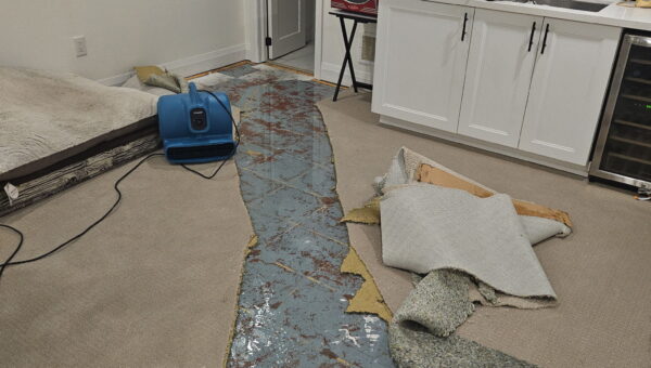 A room shows carpet partially removed, exposing a blue, stained concrete floor—likely from basement flooding cleanup Burlington. A fan dries the area. The kitchen features white cabinets, dishes, and cleaning supplies on the counter.